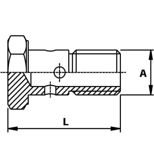 image Vis creuse simple métrique, M10x125, lg19mm - Pour raccord Banjo