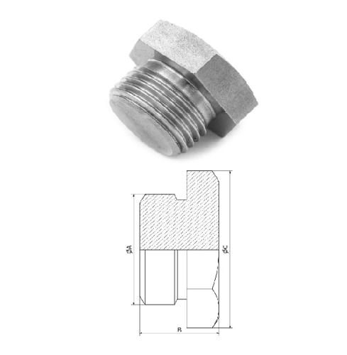 image Bouchon tête hexg mâle inox